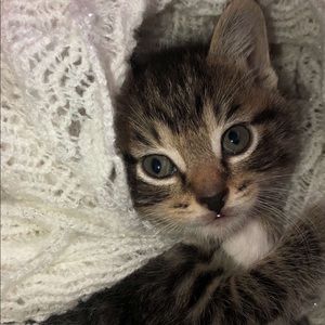 Meet your Posher, Zeina